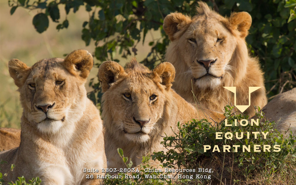 Lion Partners Limited